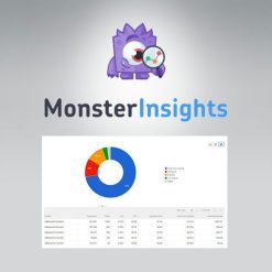 MonsterInsights - Ads Addon