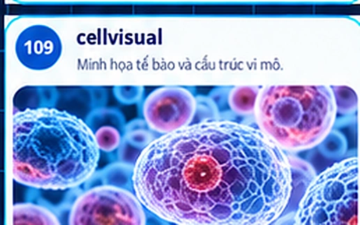 cellvisual