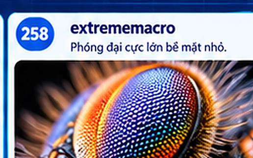 extrememacro