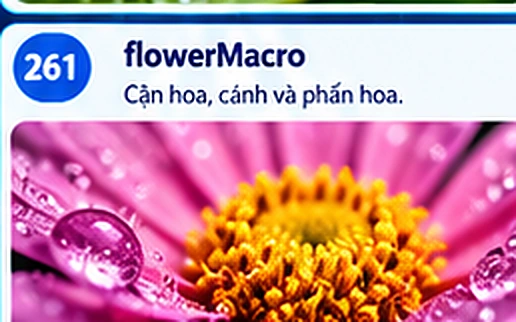 flowermacro