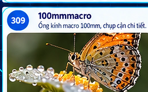 100mmmacro