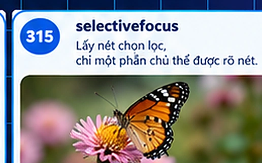 selectivefocus