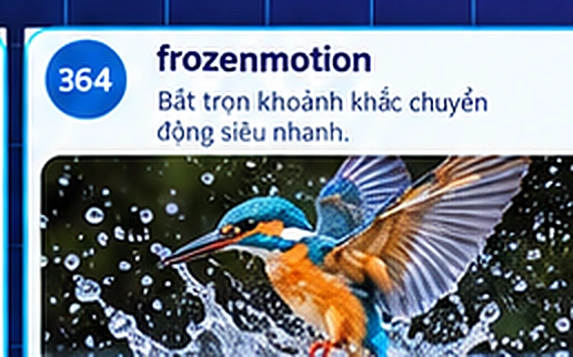 frozenmotion
