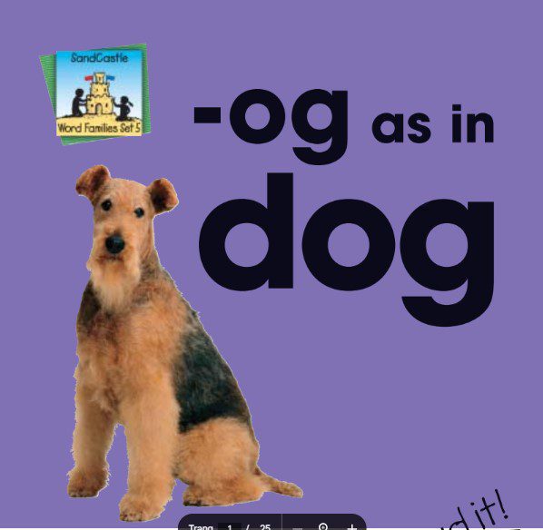 og as is dog