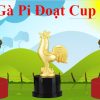 Trò chơi gà pi đạt cup