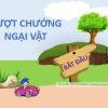 Trò chơi vượt chướng ngại vật