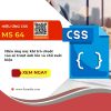 Hiệu ứng css64