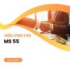 Hiệu ứng css55